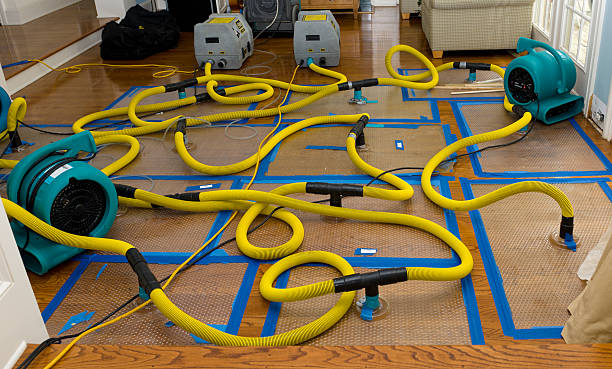 Professional Crawl Space Water Removal technician working in Centerburg, OH
